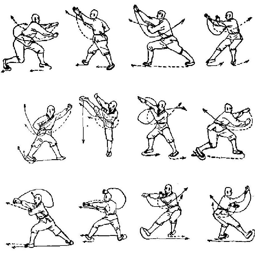 kung fu moves for beginners